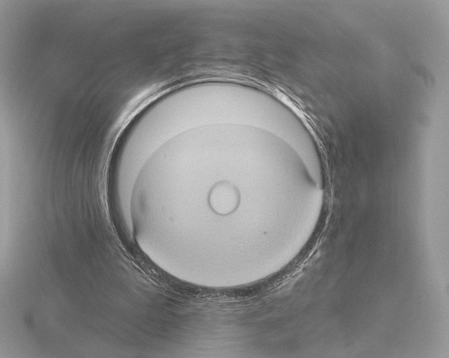 X0000115320199200912141205