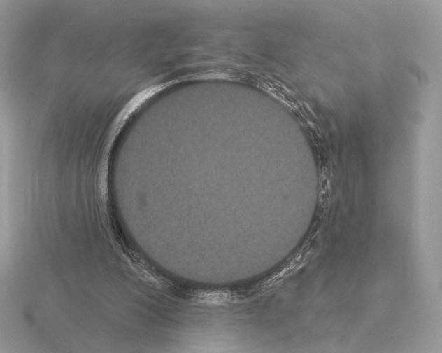 X0000115320200200912141205