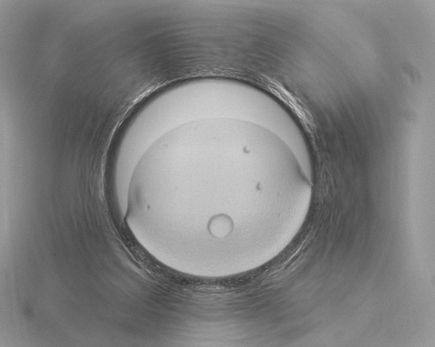 X0000115320203200912141205