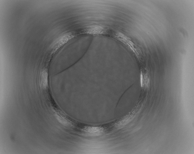 X0000115320205200912141205