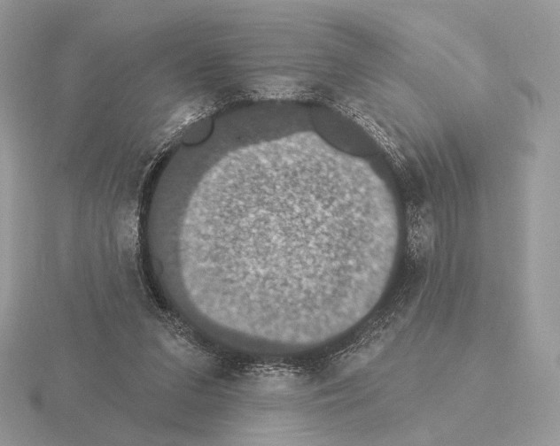 X0000115320207200912141205