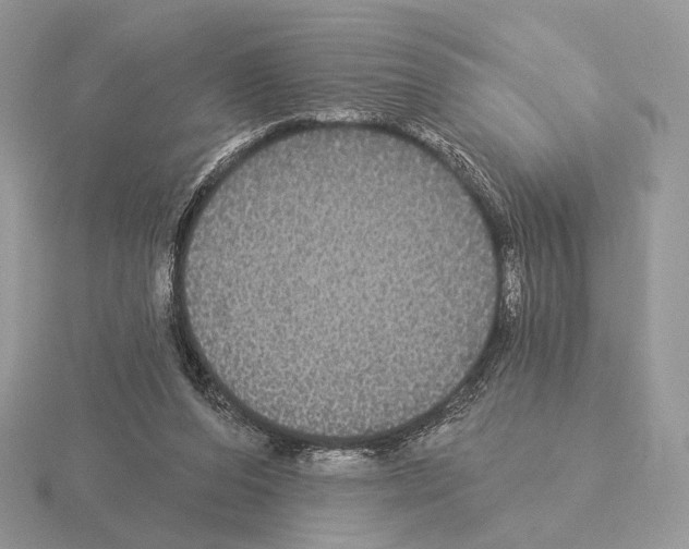 X0000115320208200912141205