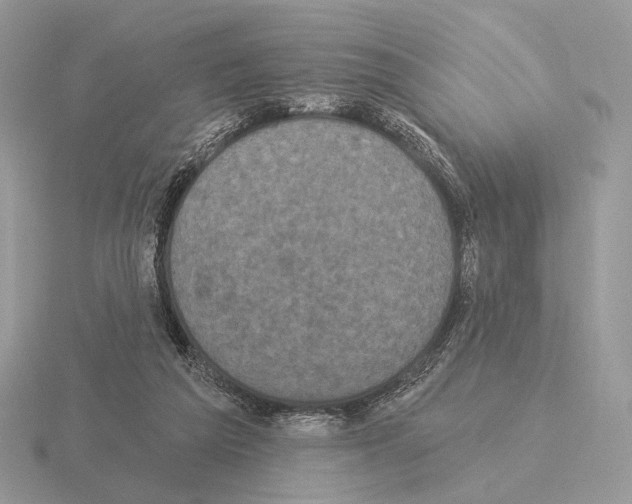 X0000115320209200912141205