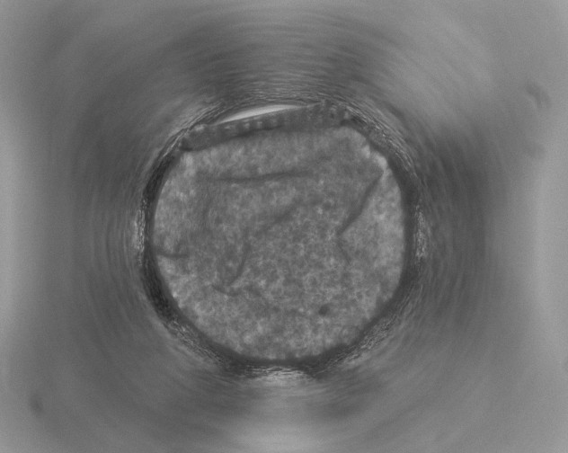 X0000115320210200912141205