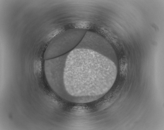 X0000115320211200912141205