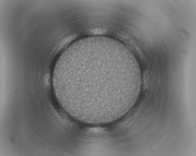 X0000115320212200912141205