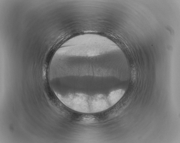 X0000115320214200912141205