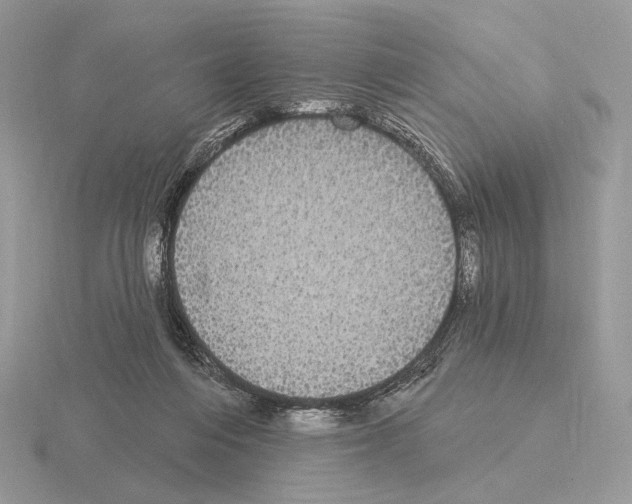 X0000115320216200912141205