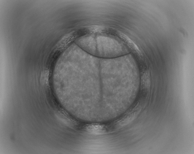 X0000115320217200912141205