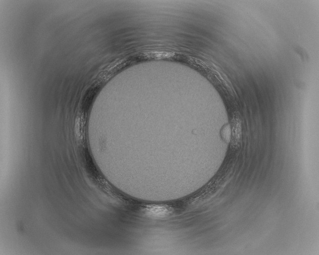 X0000115320218200912141205