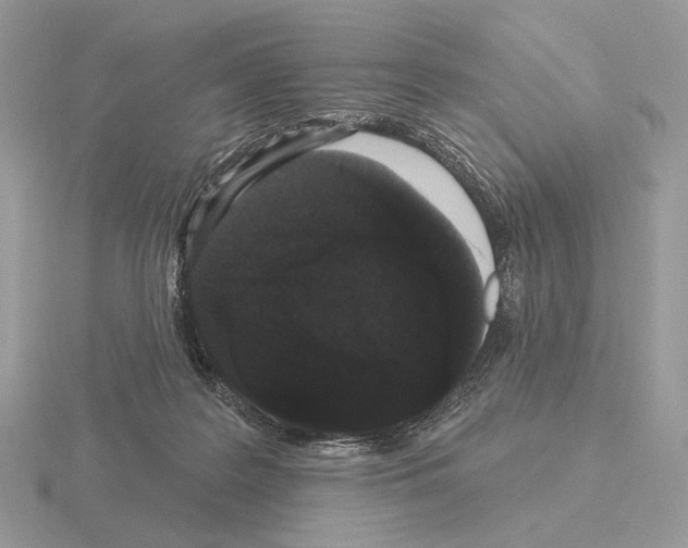 X0000115320219200912141205