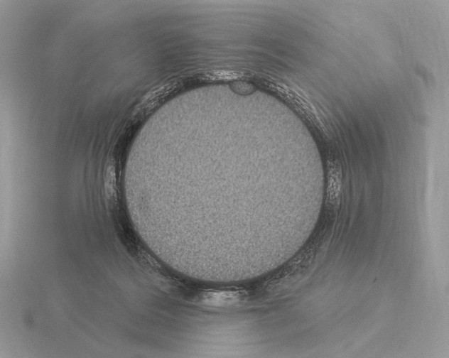 X0000115320220200912141205