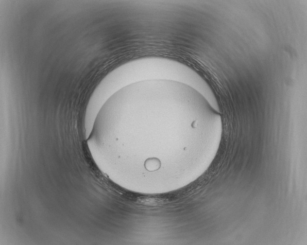 X0000115320221200912141205