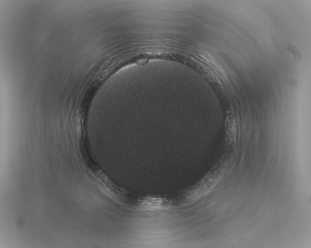 X0000115320227200912141205