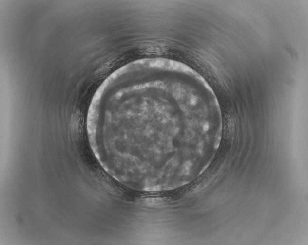 X0000115320228200912141205