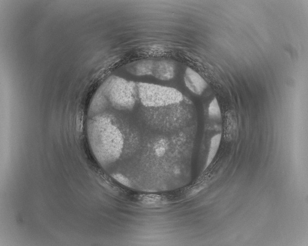 X0000115320230200912141205