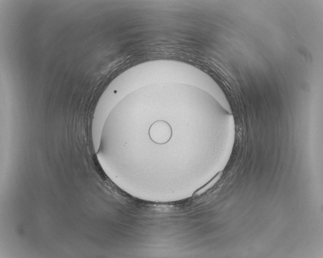 X0000115320233200912141205