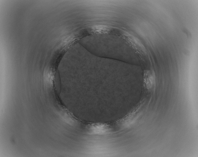 X0000115320235200912141205