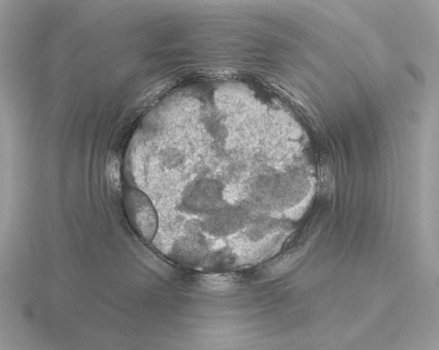 X0000115320238200912141205