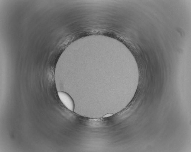 X0000115320240200912141205