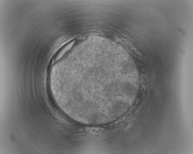 X0000115320242200912141204