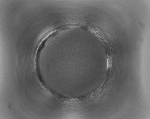 X0000115320243200912141204