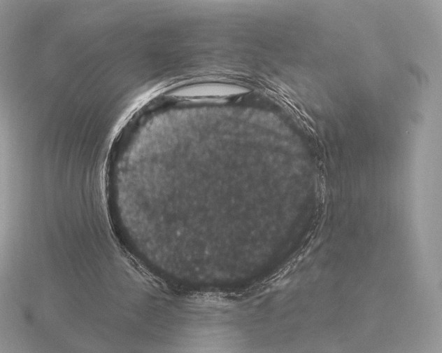 X0000115320244200912141204