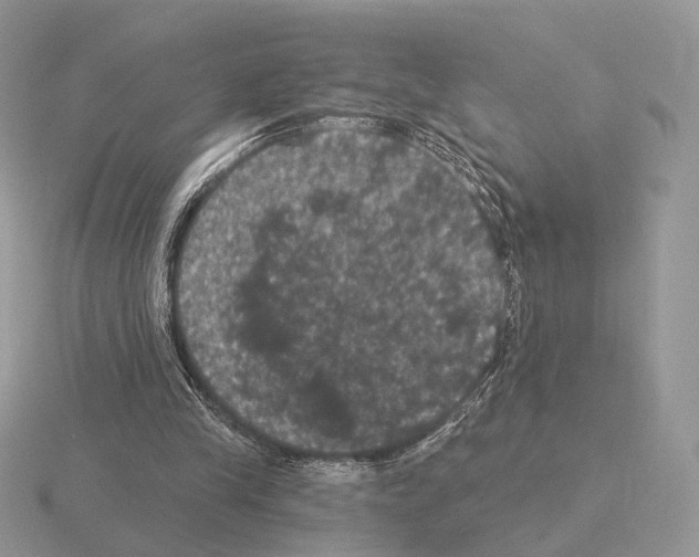 X0000115320245200912141204