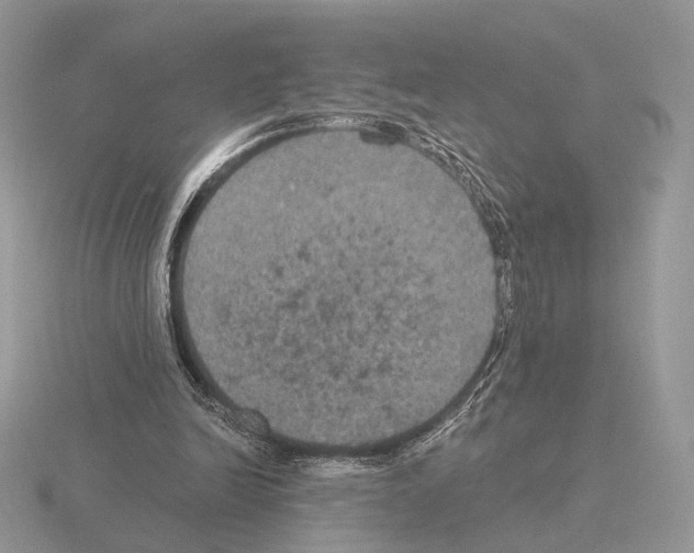 X0000115320246200912141204