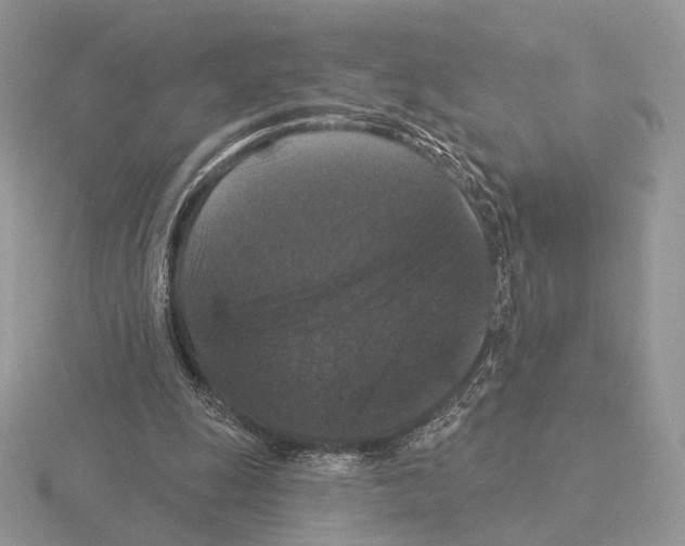 X0000115320247200912141204