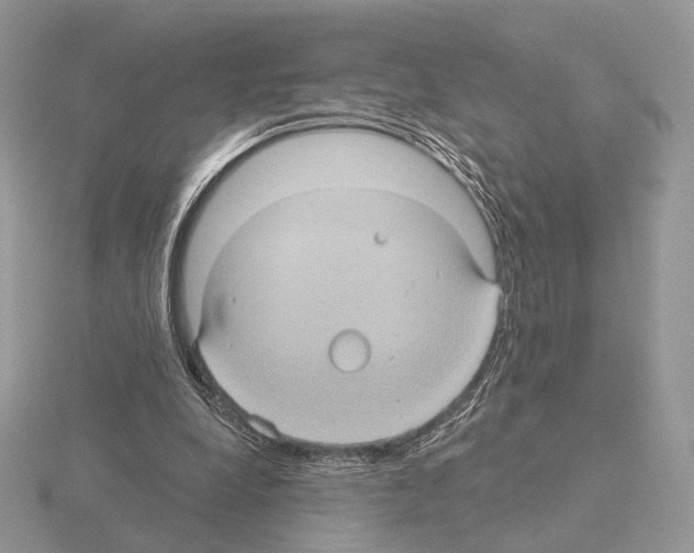 X0000115320248200912141204