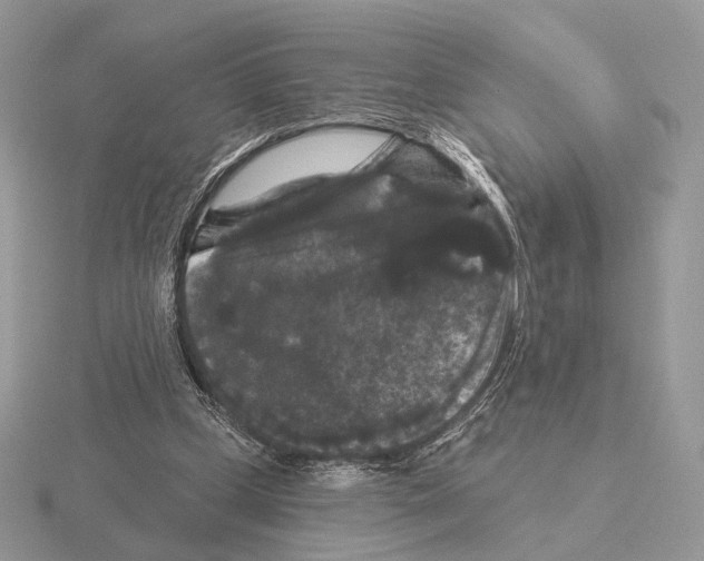 X0000115320249200912141204