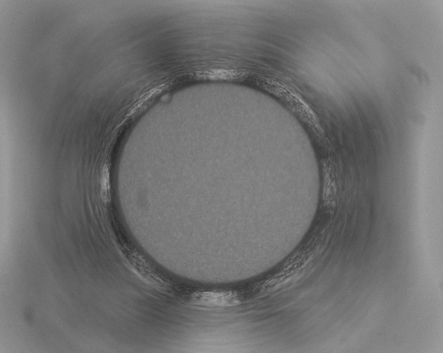 X0000115320251200912141204