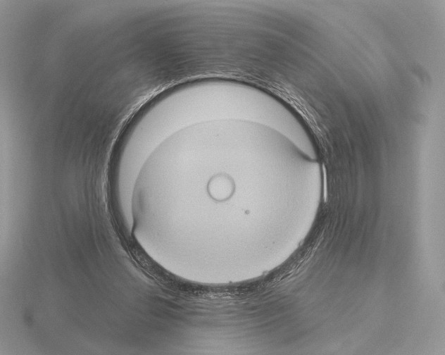 X0000115320252200912141204