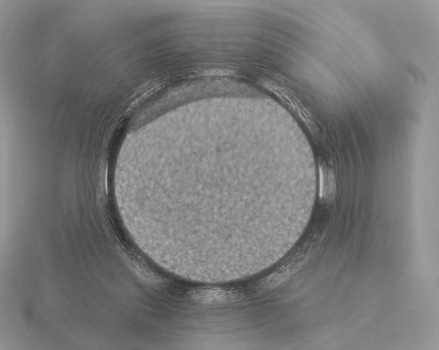 X0000115320253200912141204