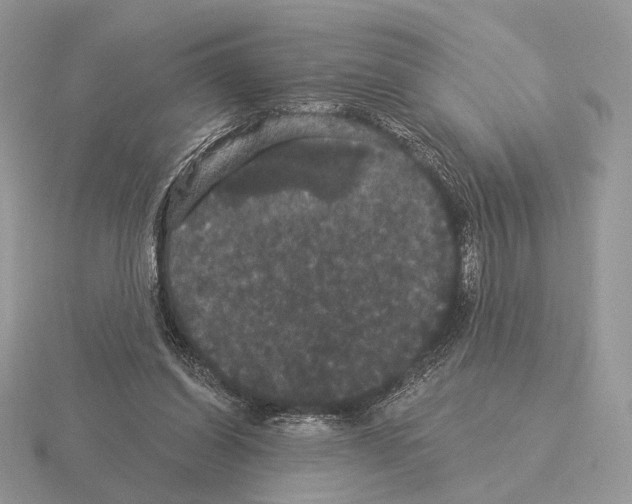 X0000115320254200912141204