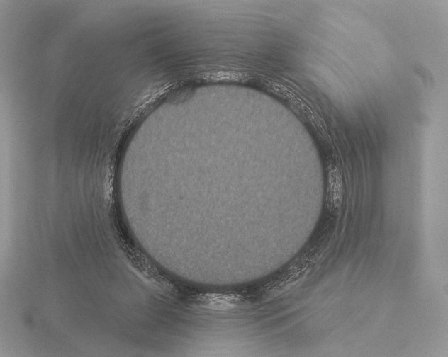 X0000115320255200912141204