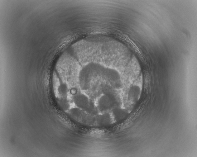 X0000115320257200912141204