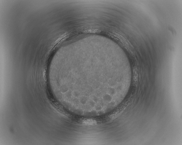 X0000115320258200912141204