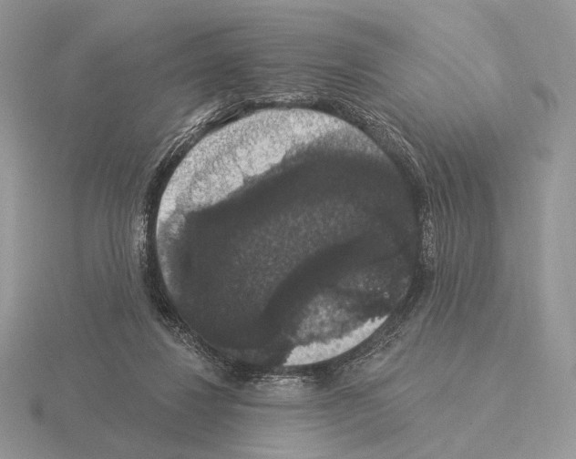 X0000115320260200912141204