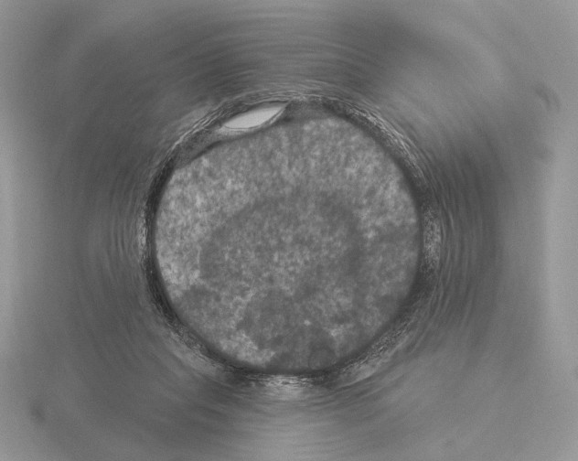 X0000115320261200912141204