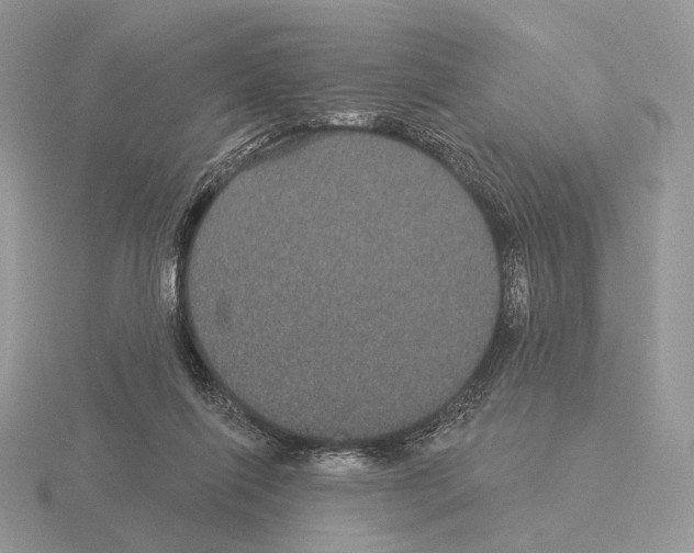 X0000115320262200912141204