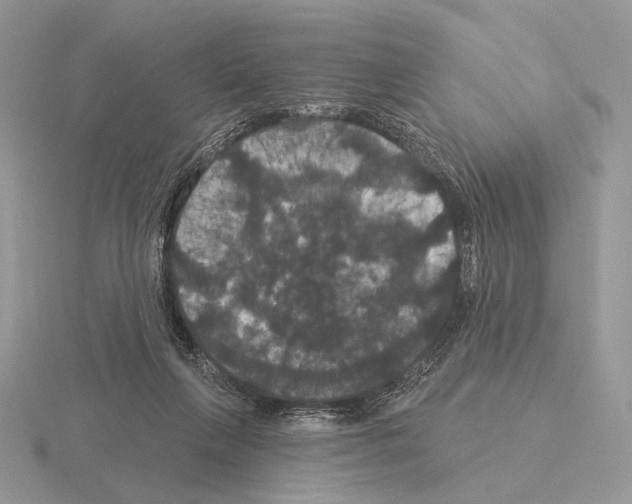 X0000115320263200912141204