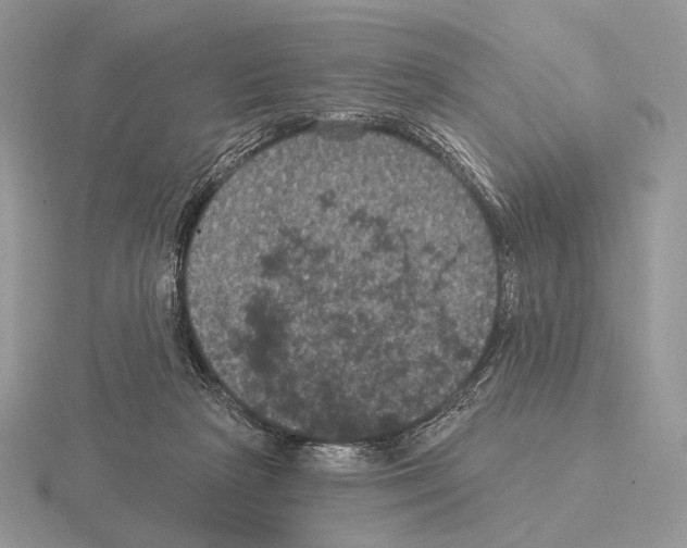 X0000115320265200912141204