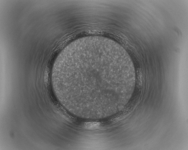 X0000115320266200912141204