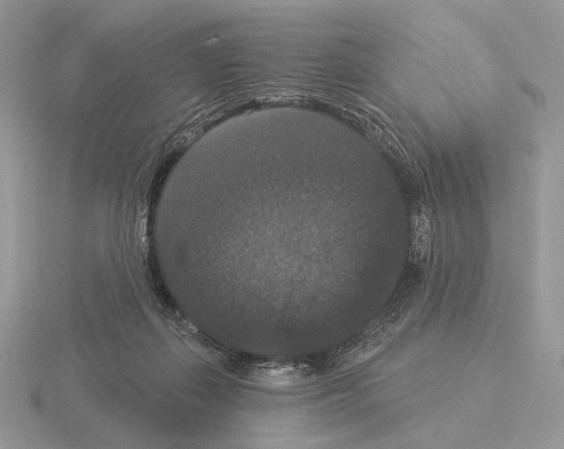 X0000115320267200912141204