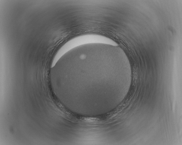 X0000115320268200912141204