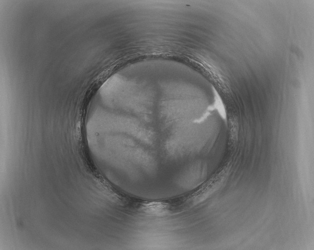 X0000115320269200912141204