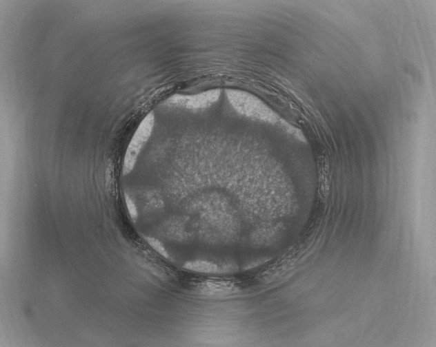 X0000115320270200912141204