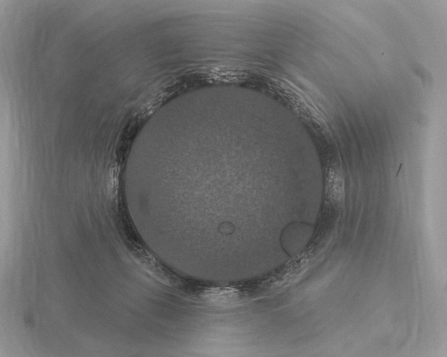 X0000115320271200912141204